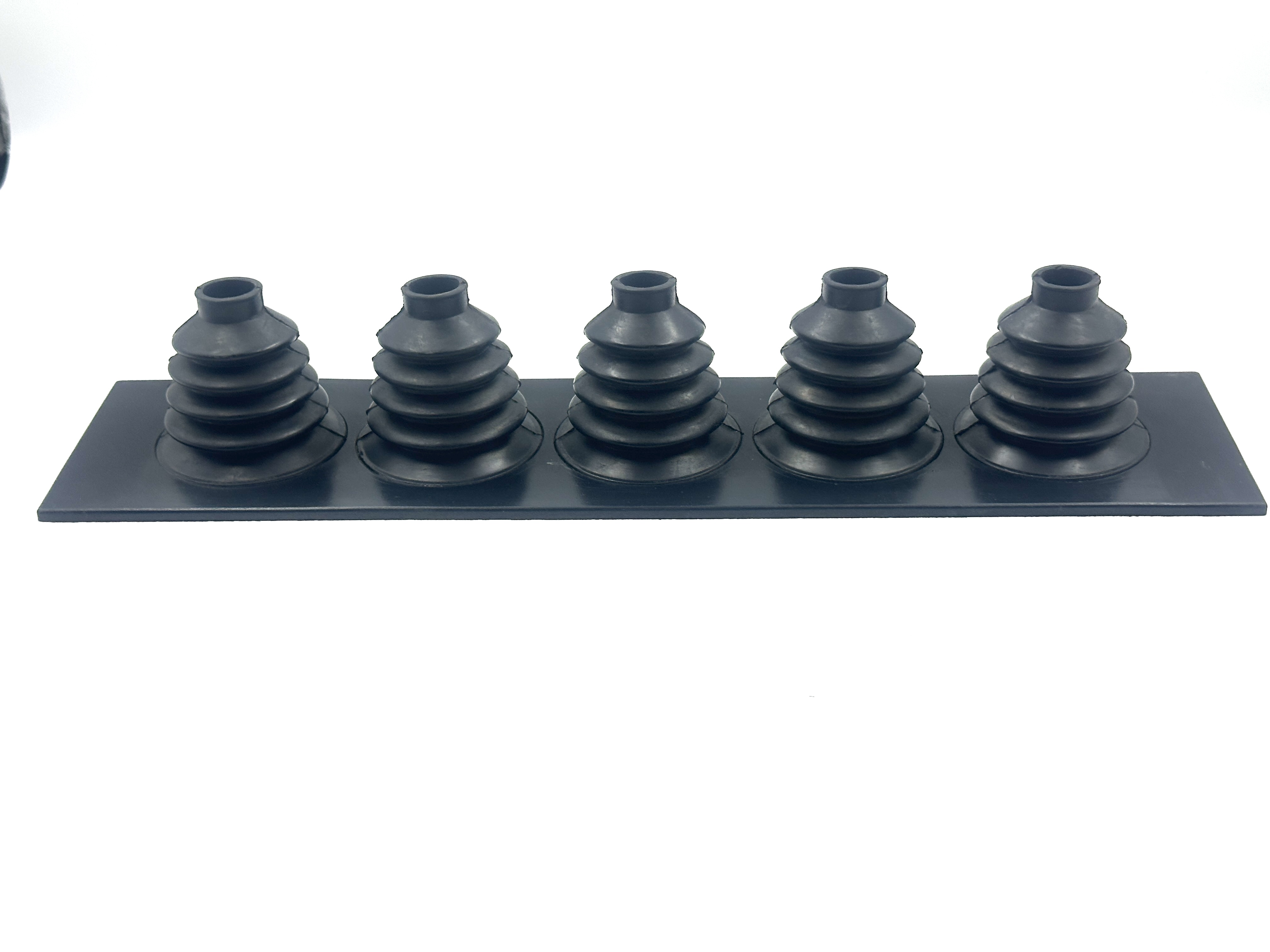 2026_01_09_11_10_IMG_3377